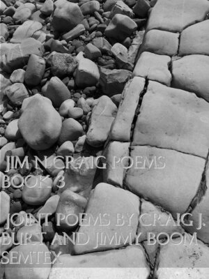 cover image of Jim N Craig Poems Book 3